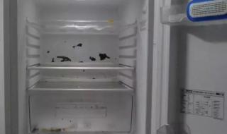 冰箱速冻结冰的解决方法 冰箱冷冻室结冰